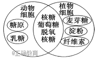 www.xiangpi.com