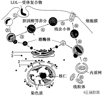 www.xiangpi.com