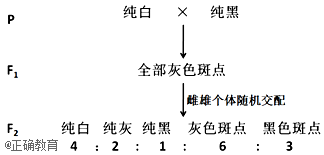 www.xiangpi.com