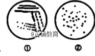 www.xiangpi.com