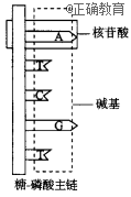 www.xiangpi.com