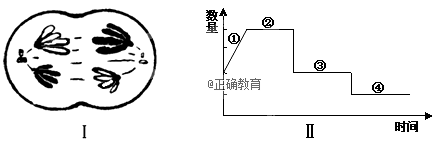 www.xiangpi.com