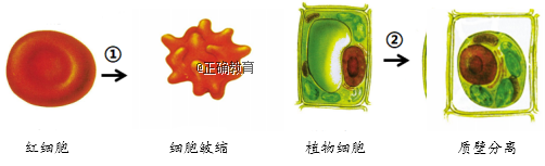 www.xiangpi.com
