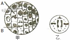 www.xiangpi.com