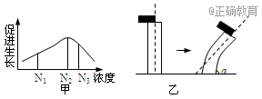 www.xiangpi.com