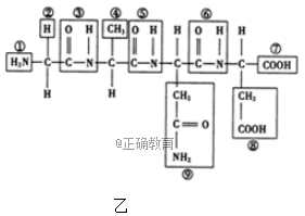www.xiangpi.com