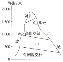 www.xiangpi.com