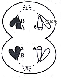 www.xiangpi.com