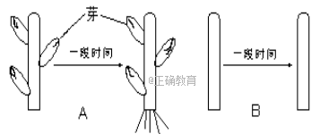 www.xiangpi.com