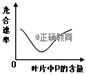 www.xiangpi.com