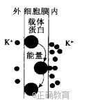 www.xiangpi.com