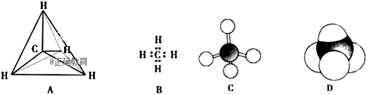 下列各图均能表示甲烷的分子结构,按要求回答下列问题
