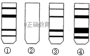 www.xiangpi.com