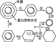 www.xiangpi.com