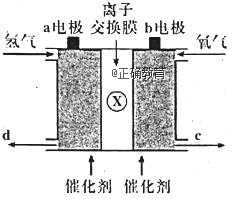 www.xiangpi.com