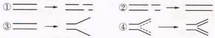 www.xiangpi.com
