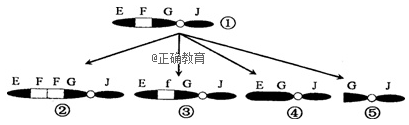 www.xiangpi.com