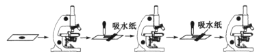 www.xiangpi.com