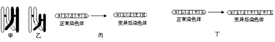www.xiangpi.com