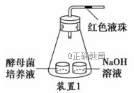 www.xiangpi.com