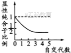 www.xiangpi.com