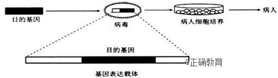 www.xiangpi.com