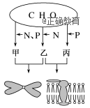 www.xiangpi.com