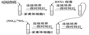 www.xiangpi.com