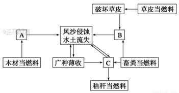 www.xiangpi.com