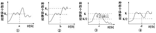 www.xiangpi.com
