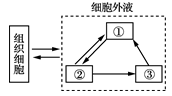 www.xiangpi.com