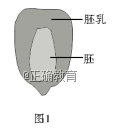 www.xiangpi.com