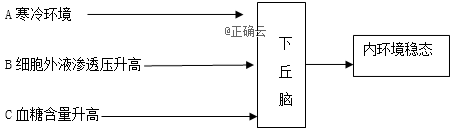 www.xiangpi.com