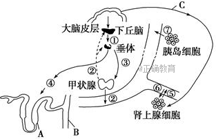 www.xiangpi.com