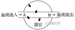 www.xiangpi.com