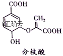 www.xiangpi.com