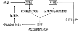 www.xiangpi.com