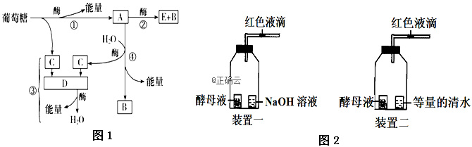 www.xiangpi.com