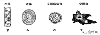 www.xiangpi.com