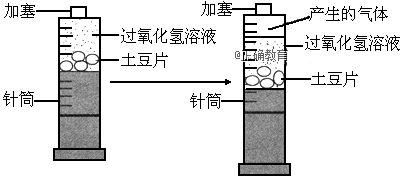 www.xiangpi.com