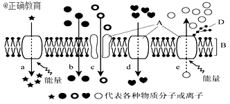 www.xiangpi.com