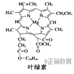 www.xiangpi.com