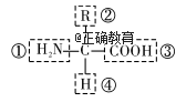 www.xiangpi.com