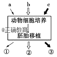 www.xiangpi.com