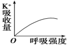 www.xiangpi.com