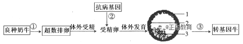 www.xiangpi.com