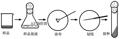 www.xiangpi.com