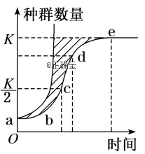 www.xiangpi.com