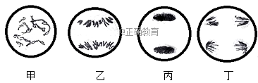 www.xiangpi.com