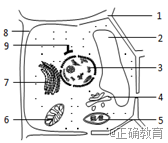 www.xiangpi.com